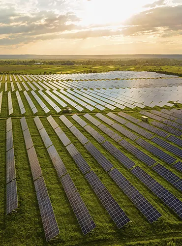 AgroVoltaica EFELEC GROUP
